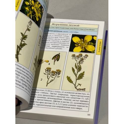Дополнительное изображение книги «Полевые цветы. Карманная энциклопедия»