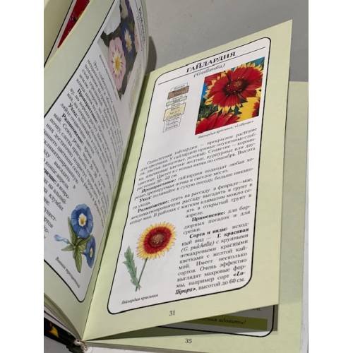 Дополнительное изображение книги «Однолетние растения»