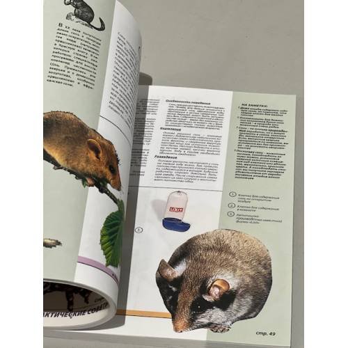 Дополнительное изображение книги «Экзотические домашние животные»