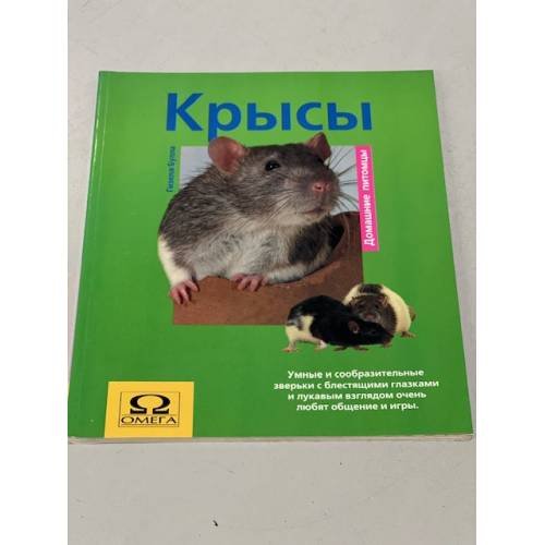 Обложка книги «Крысы» — Булла Гизелла, ISBN 5932093692