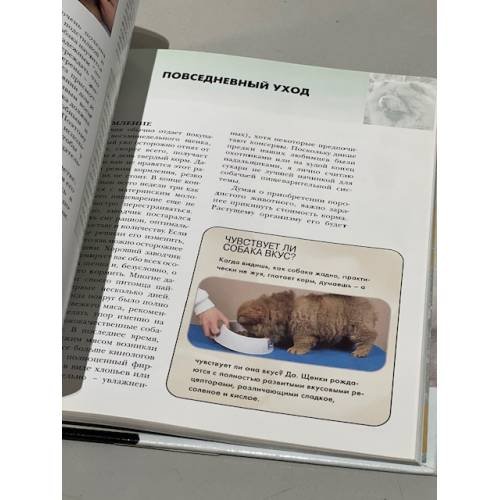 Дополнительное изображение книги «Чау-чау»