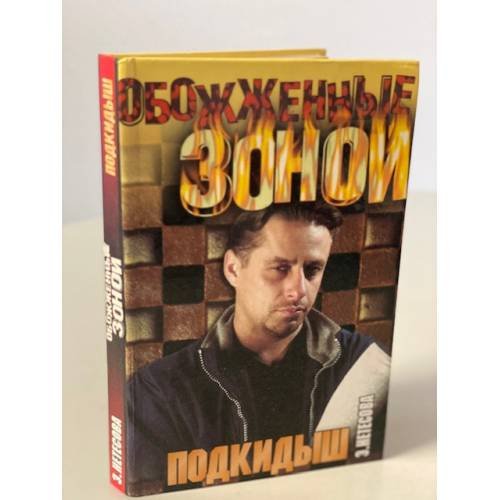 Обложка книги «Подкидыш» — Нетесова Эльмира Анатольевна, ISBN 5170193904