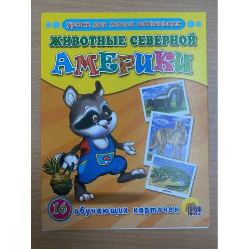 Обложка книги «16 обучающих карточек.  Животные Северной Америки», ISBN 9785378030774