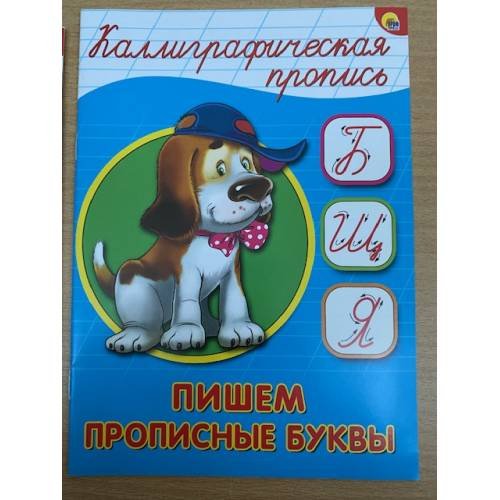 Обложка книги «Пишем прописные буквы», ISBN 9785378264063