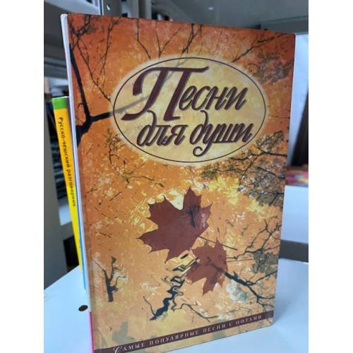 Обложка книги «Песни для души» — Иванов Юрий Михайлович, ISBN 5813802142