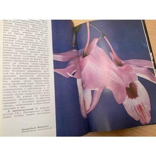 Дополнительное изображение книги «Орхидеи»