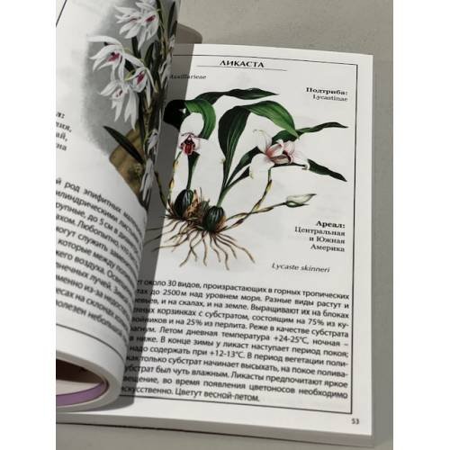 Дополнительное изображение книги «Орхидеи. Иллюстрированный справочник»