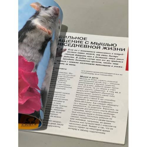 Дополнительное изображение книги «Мыши»