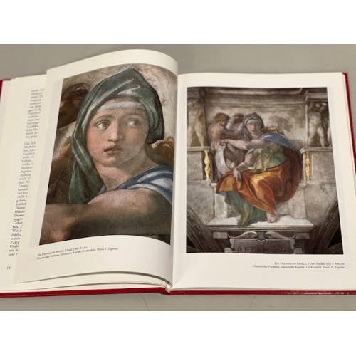 Дополнительное изображение книги «Michelangelo»