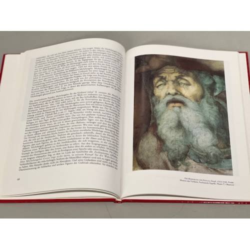 Дополнительное изображение книги «Michelangelo»