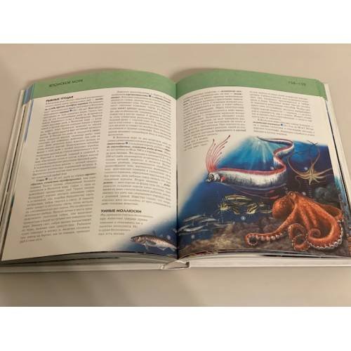 Дополнительное изображение книги «Подводный мир. Полная энциклопедия»