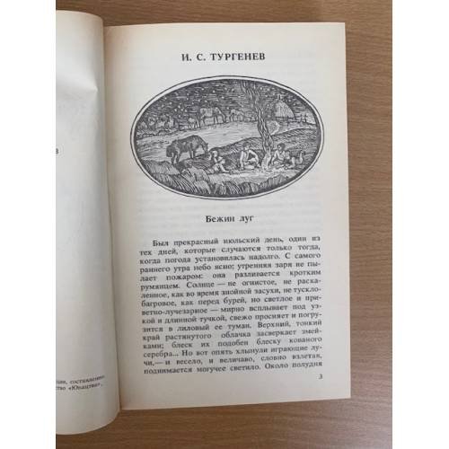 Дополнительное изображение книги «Повести и рассказы русских писателей»