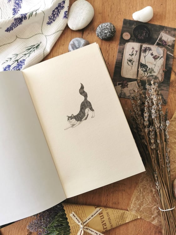 Дополнительное изображение книги «Лавандовая аптека в Париже»