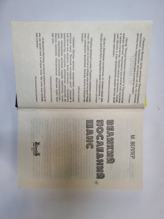 Дополнительное изображение книги «Великий последний шанс»