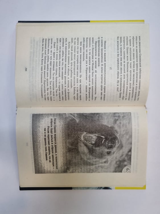 Дополнительное изображение книги «Великий последний шанс»