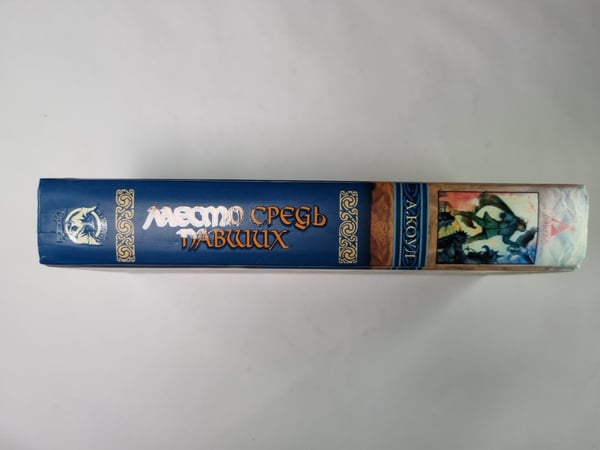 Дополнительное изображение книги «Место средь павших»
