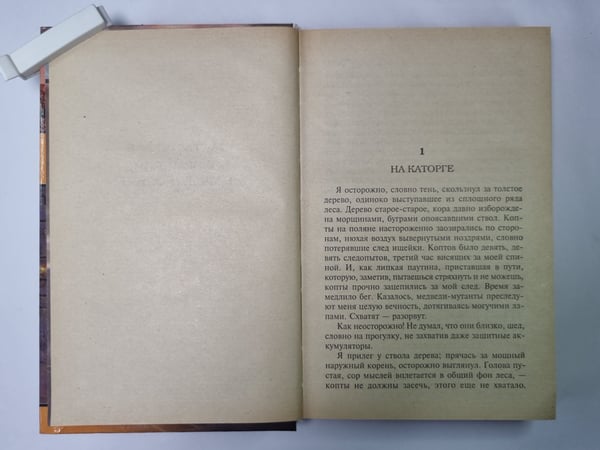 Дополнительное изображение книги «Властитель»