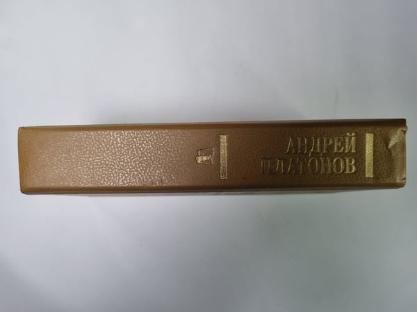 Дополнительное изображение книги «Государственный житель»