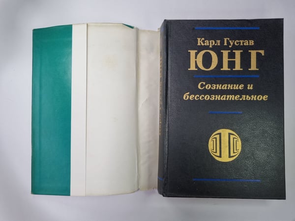 Дополнительное изображение книги «Сознание и бессознательное»