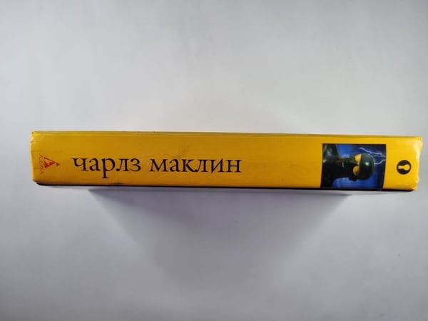 Дополнительное изображение книги «Страж»