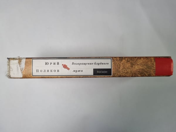 Дополнительное изображение книги «Возвращение блудного мужа»