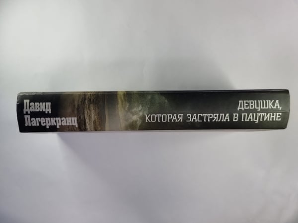 Дополнительное изображение книги «Девушка,которая застряла в паутине»