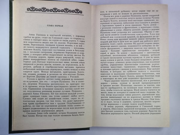 Дополнительное изображение книги «Деревня Пушканы»