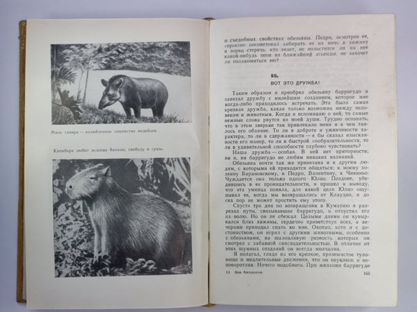 Дополнительное изображение книги «Зов Амазонки. Канада, пахнущая смолой. горячее селение Амбинанитело»