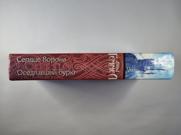 Дополнительное изображение книги «Сердце Ворона. Оседлавший бурю»