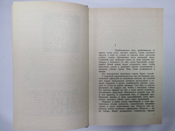 Дополнительное изображение книги «Накануне Судного дня. Пробуждение Чародея. Планета кочующих городов»