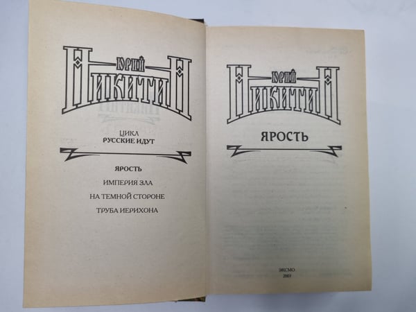 Дополнительное изображение книги «Ярость»