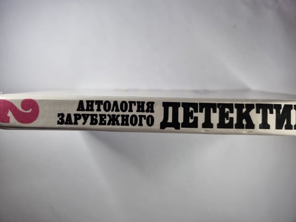 Дополнительное изображение книги «Частная практика Майкла Шейни. Труп, которого не было. Сокровище стережет смерть»