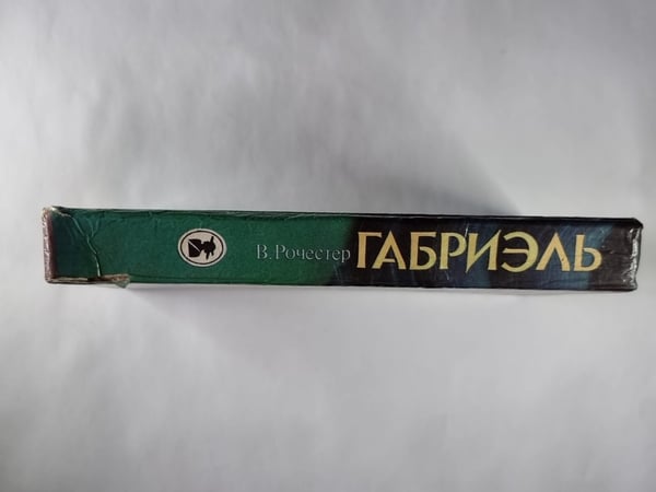Дополнительное изображение книги «Габриэль»