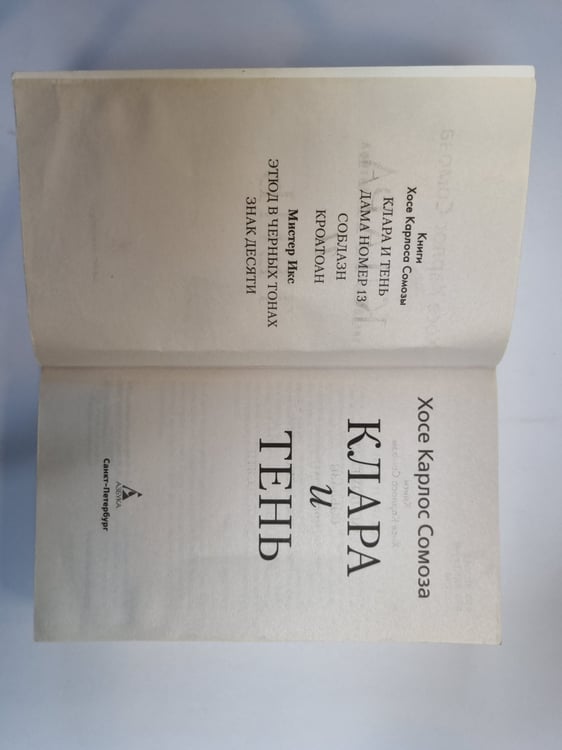 Дополнительное изображение книги «Клара и тень»