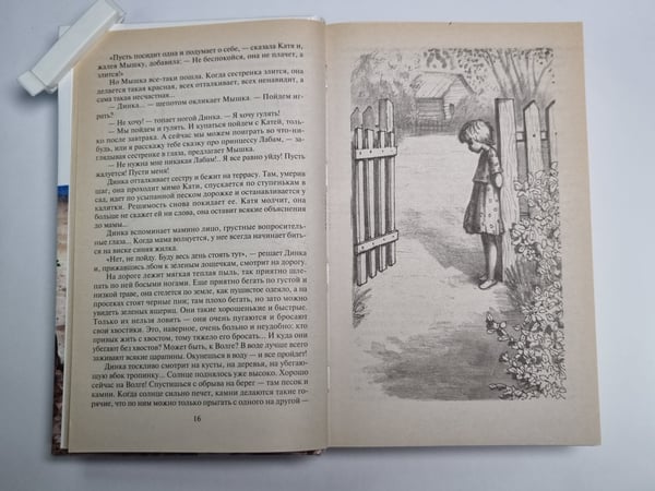 Дополнительное изображение книги «Динка»