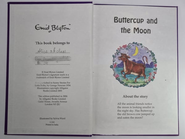 Дополнительное изображение книги «Buttercup and the Moon»