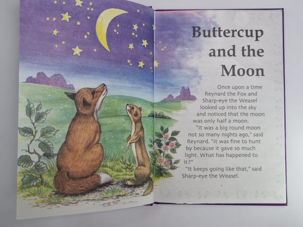 Дополнительное изображение книги «Buttercup and the Moon»