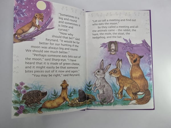 Дополнительное изображение книги «Buttercup and the Moon»