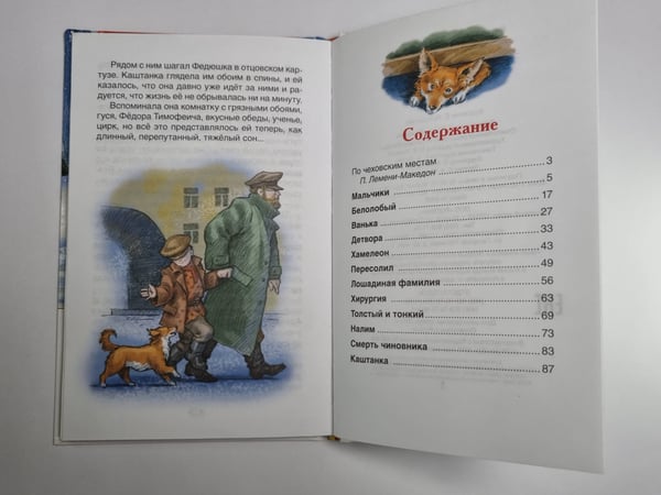 Дополнительное изображение книги «Каштанка. Рассказы а»