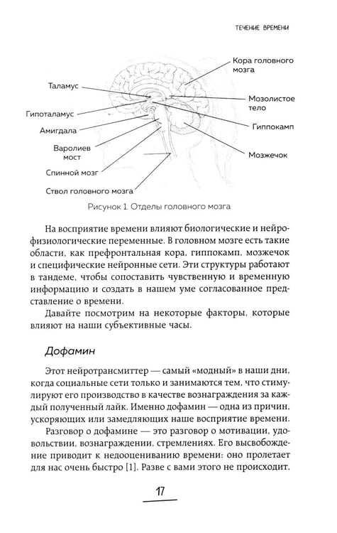 Дополнительное изображение книги «Ловушки, забирающие молодость. Как перестать укорачивать себе жизнь и поддерживать здоровье на клеточном уровне»