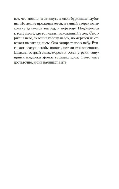 Дополнительное изображение книги «Ледяная река»