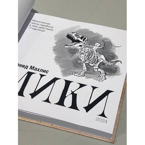 Дополнительное изображение книги «Мики»