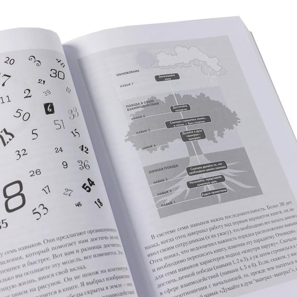 Дополнительное изображение книги «Комплект. "Семь навыков высокоэффективных людей, теория и практика" (комплект в 2 кн.: Семь навыков + семь навыков на практике)»