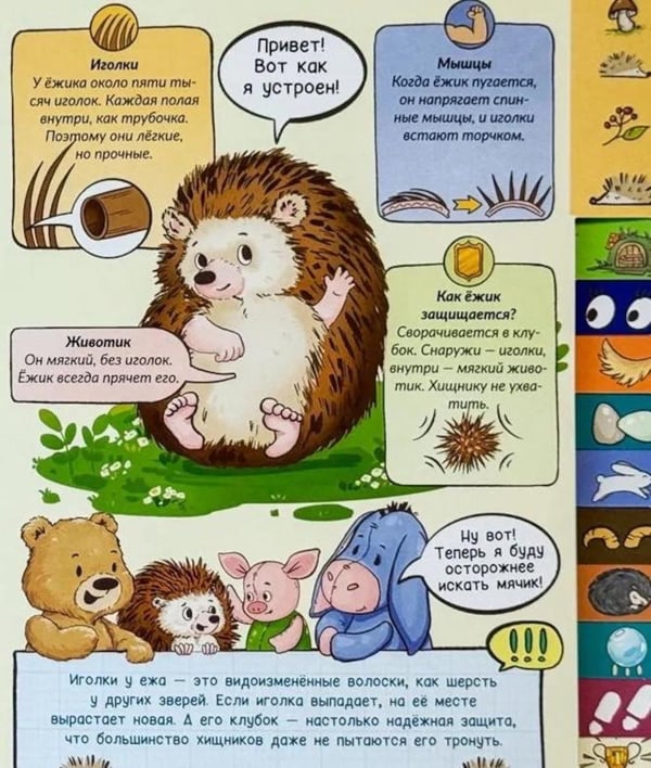 Дополнительное изображение книги «Веселая зверология»