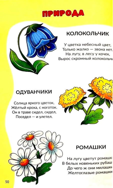 Дополнительное изображение книги «Я учусь говорить»