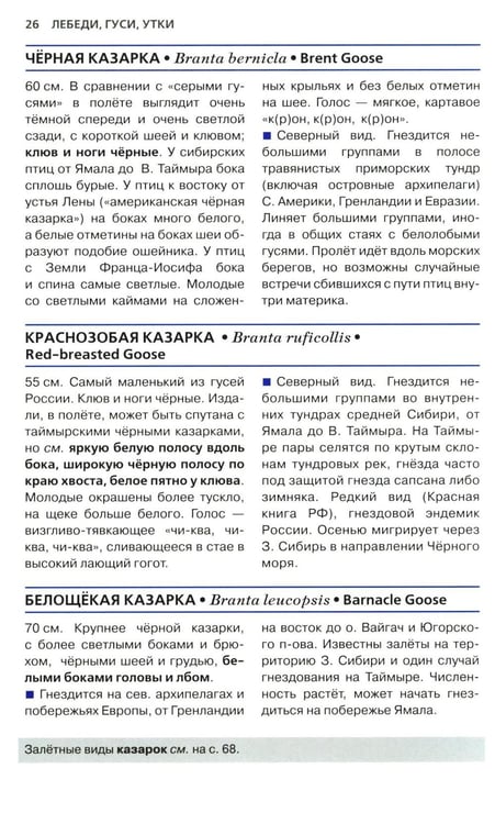 Дополнительное изображение книги «Птицы России. Фотоопределитель»