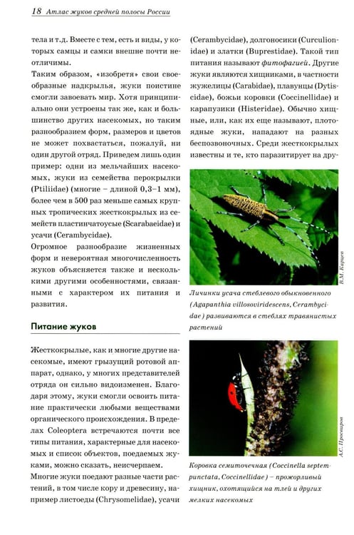 Дополнительное изображение книги «Атлас жуков средней полосы России»