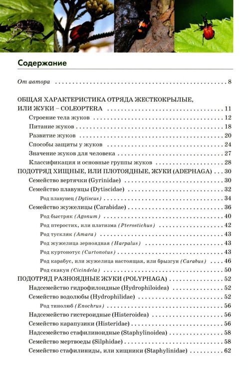 Дополнительное изображение книги «Атлас жуков средней полосы России»