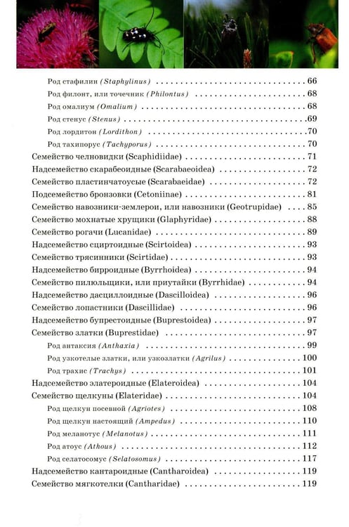 Дополнительное изображение книги «Атлас жуков средней полосы России»