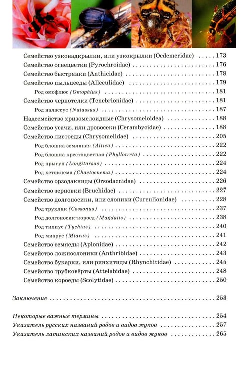 Дополнительное изображение книги «Атлас жуков средней полосы России»
